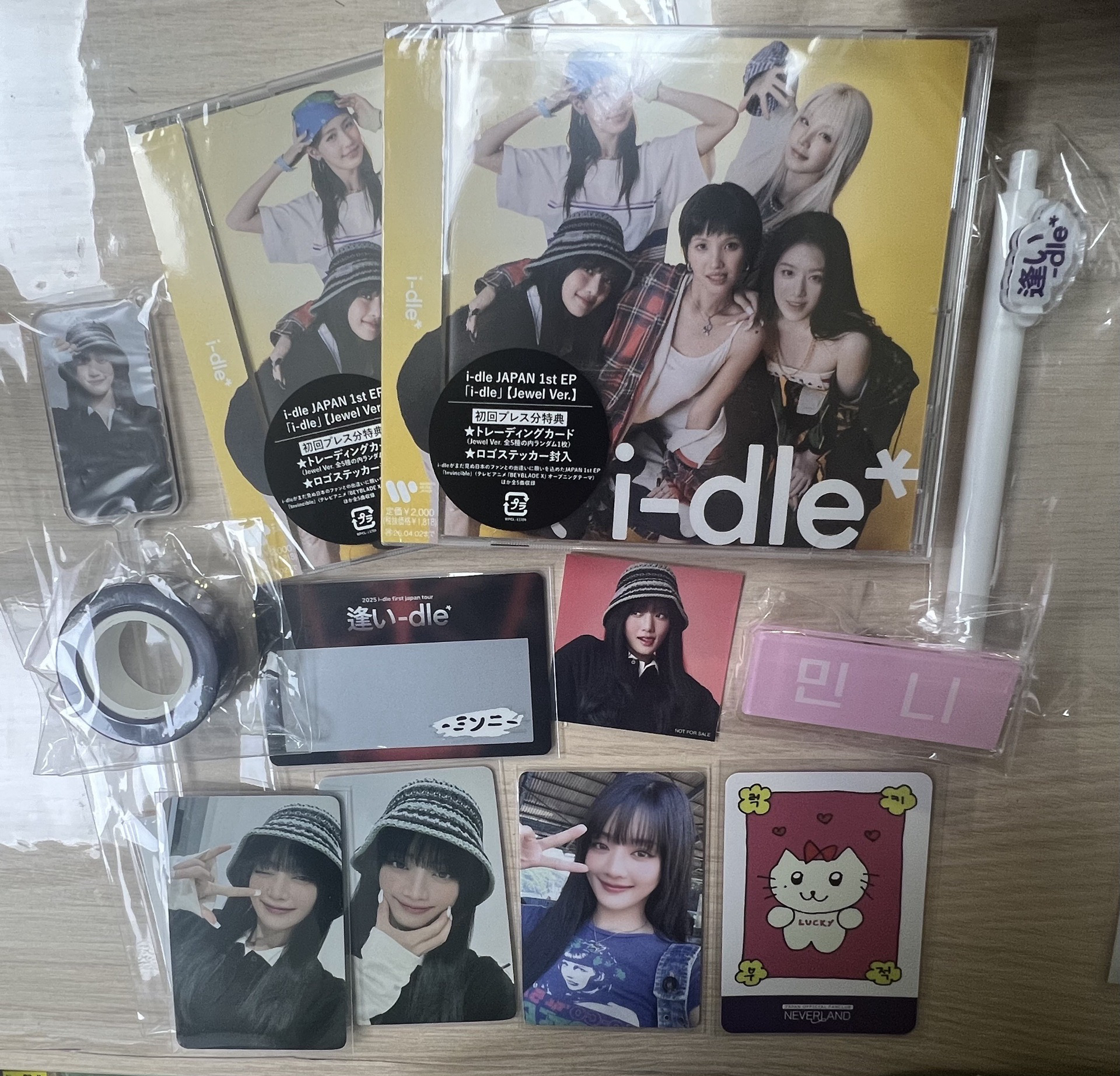 日巡 米妮大全套