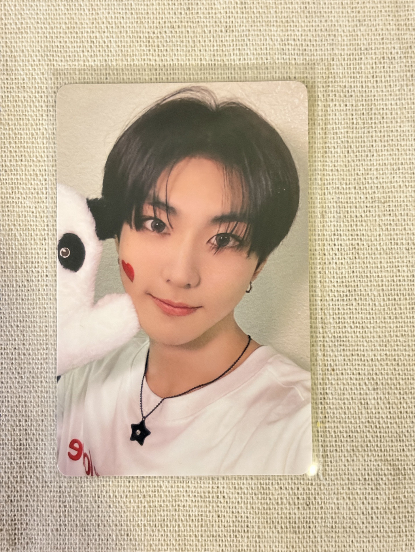 預售3.0 梁禎元熊貓卡 