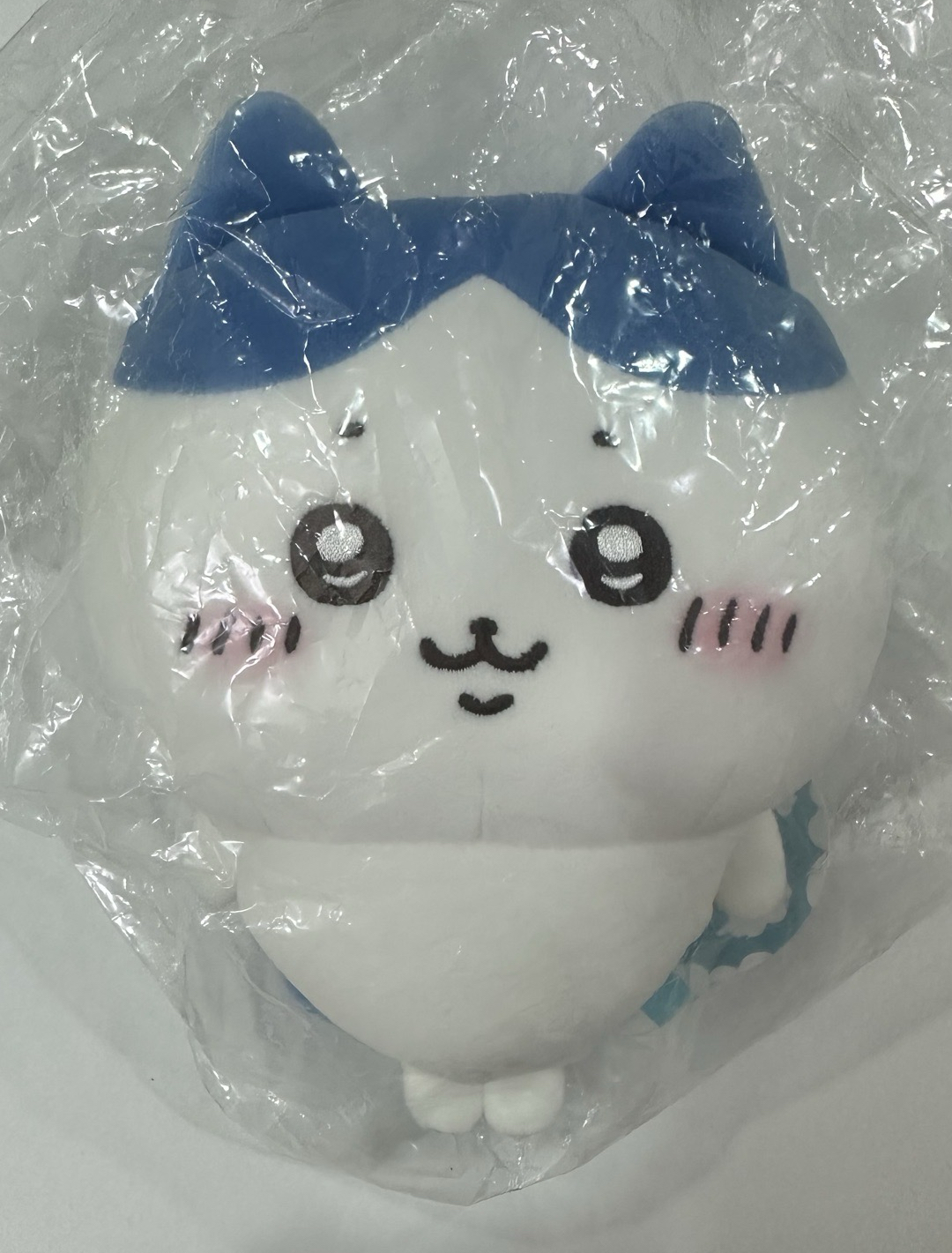 官網 S娃 小腳小八