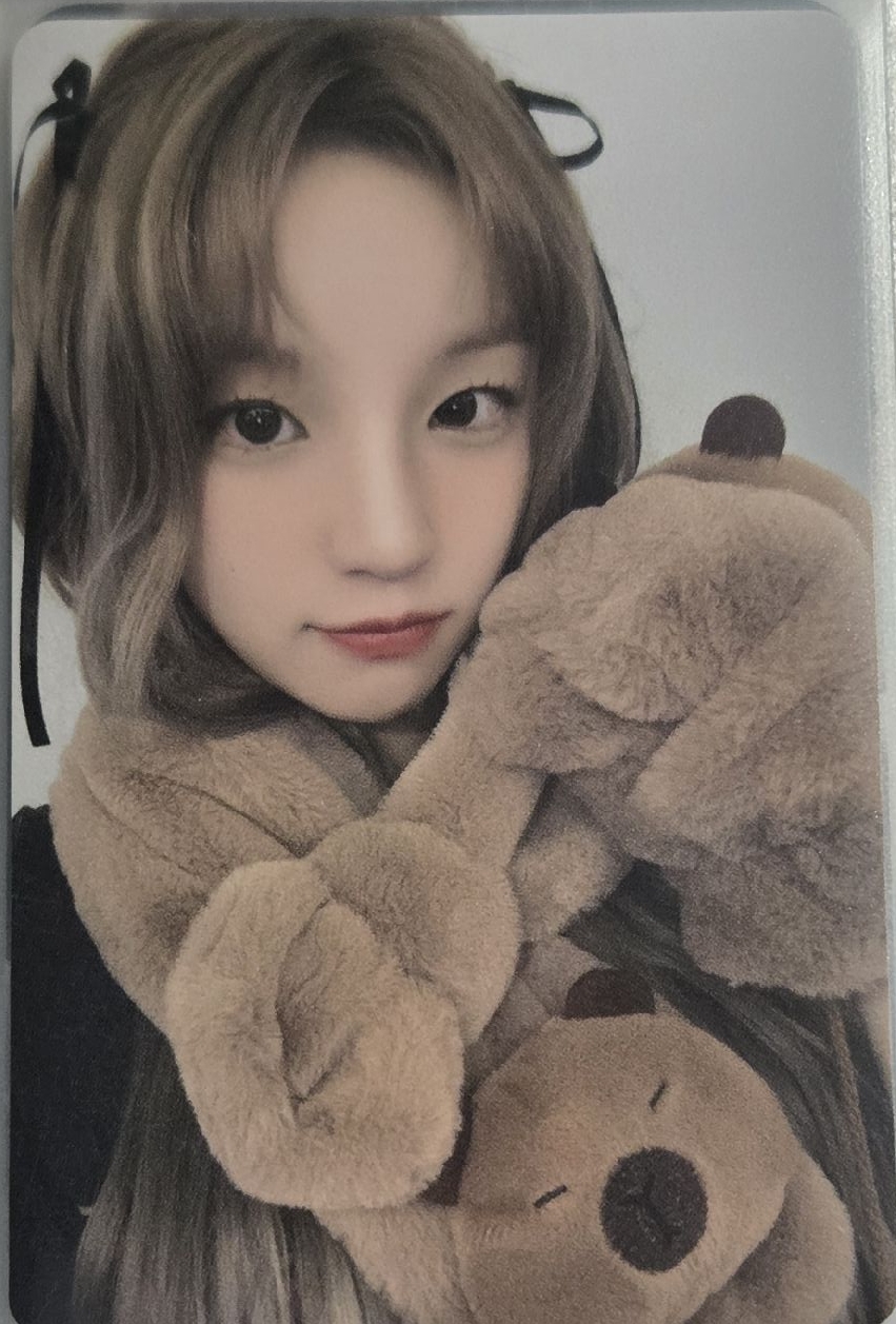 正規二 yzy 8.0 特典卡 卡皮巴拉琦