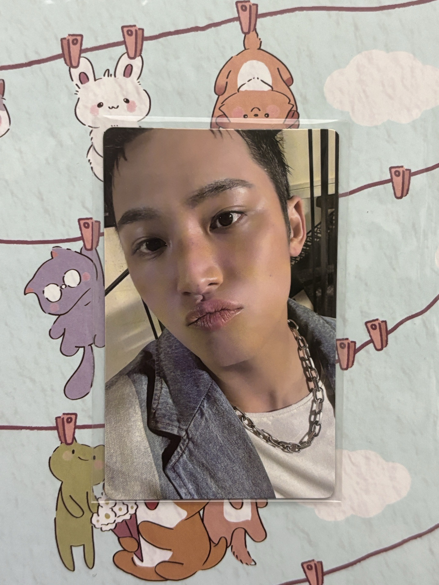 正五 wvs特典 奎