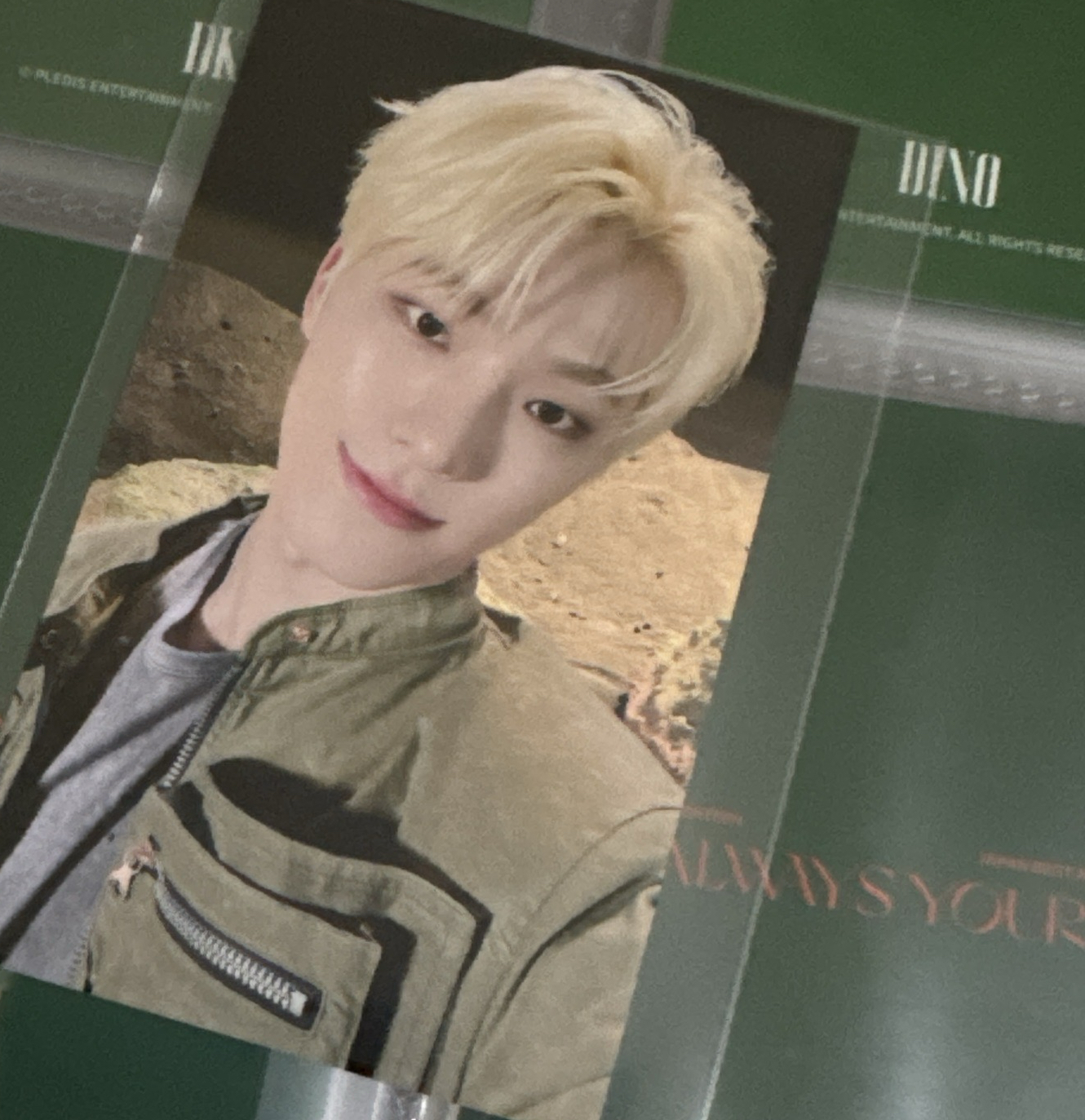 Seventeen Dino always yours