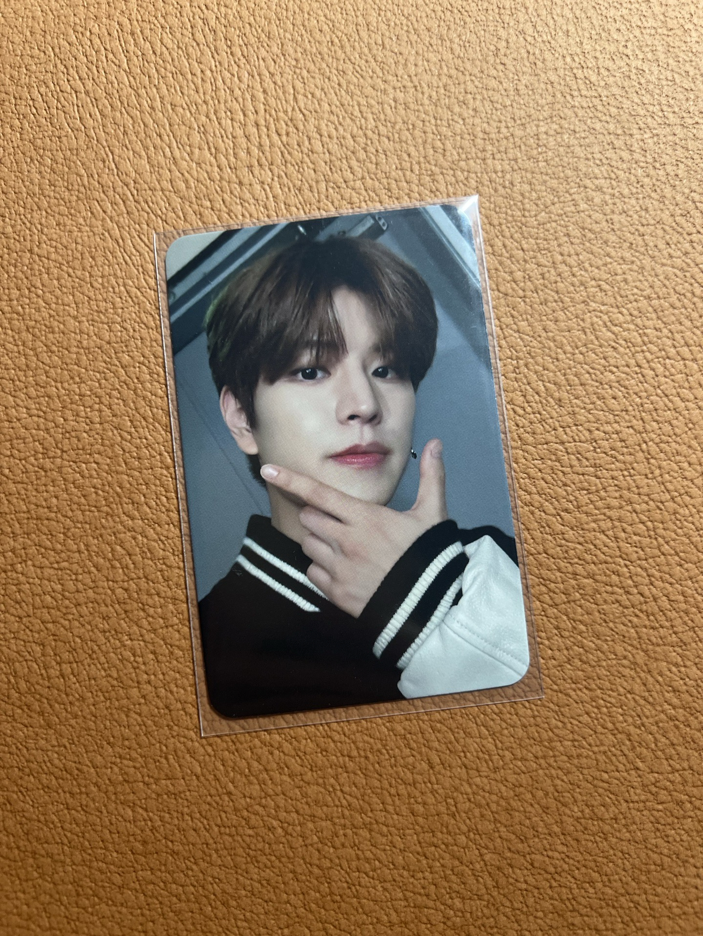 5-STAR 星河簽售2.0 中文卡背（賣場內挑綁）