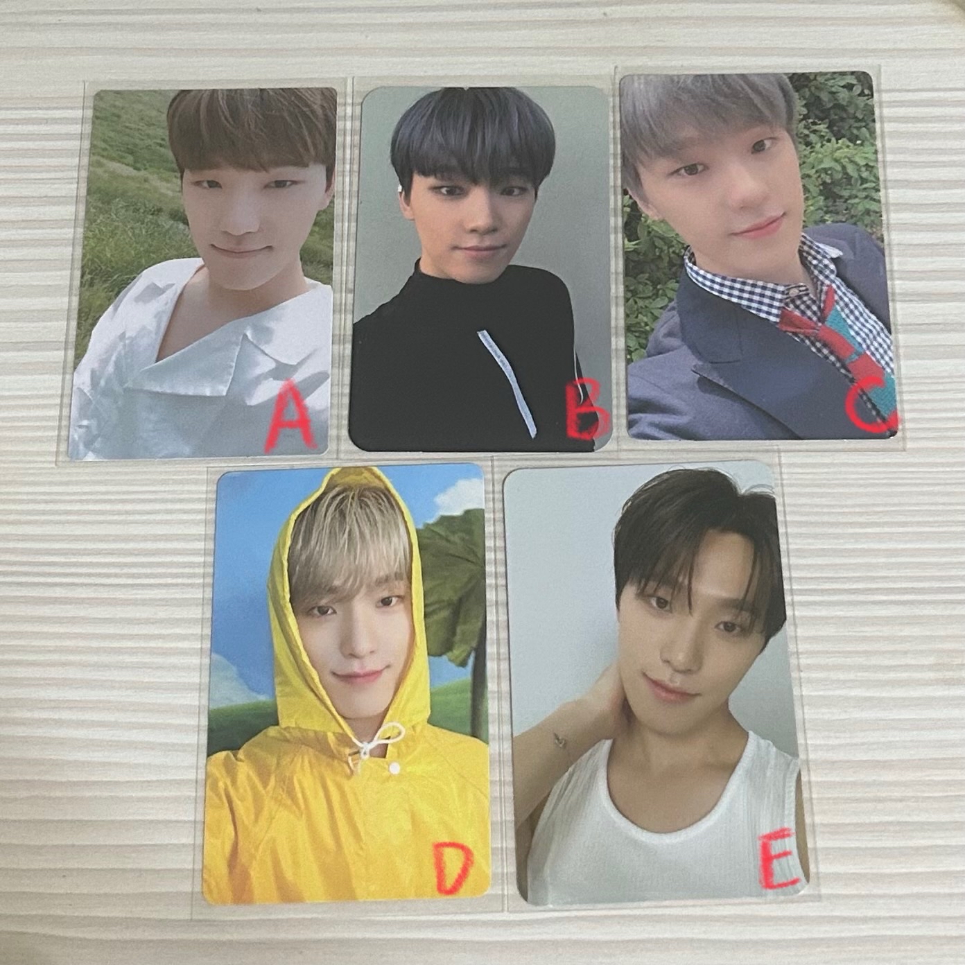 SEVENTEEN DINO 小卡們