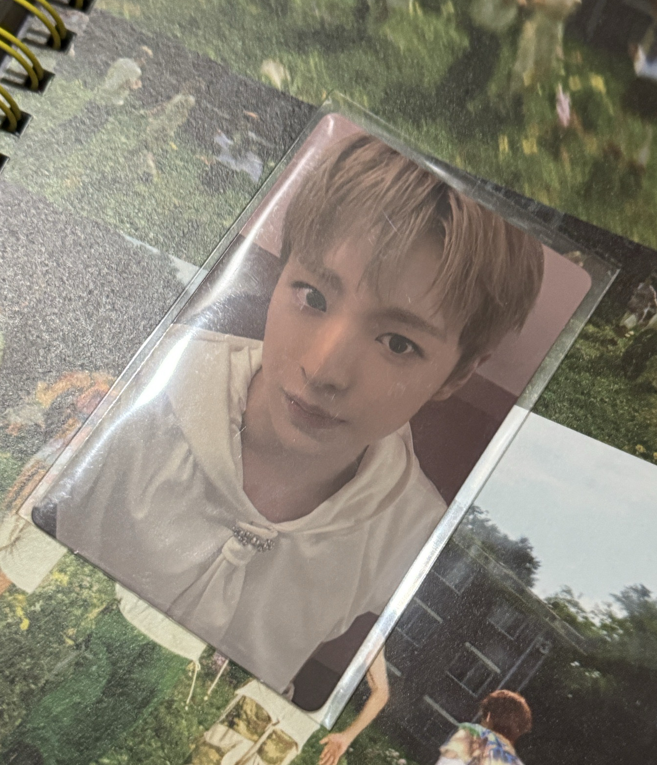 Nct wish yushi wvs特典 