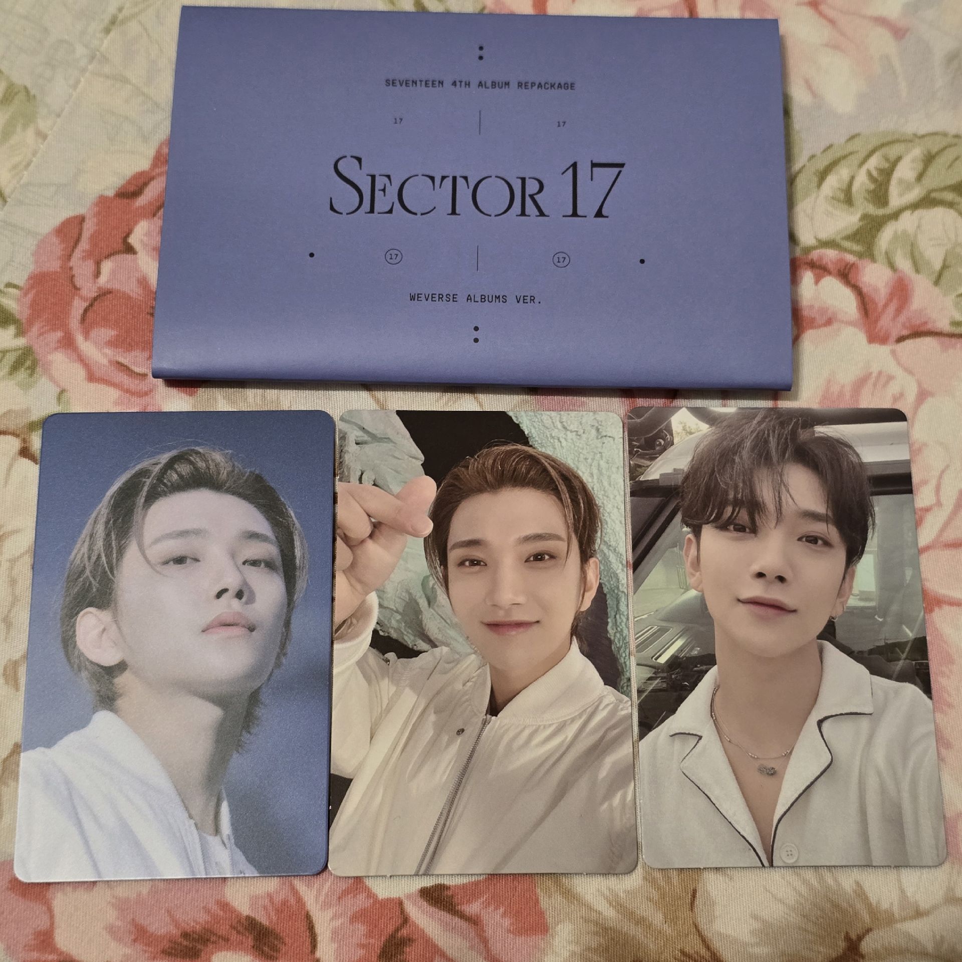 正四後續SECTOR17電子專