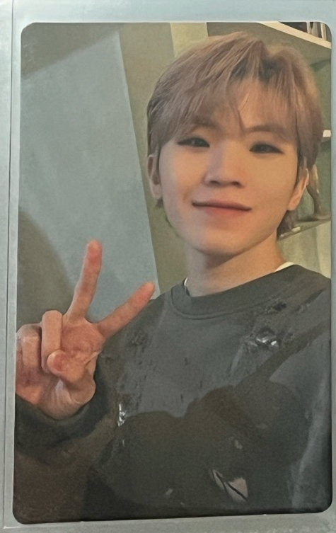 MINI9 專輯卡 CARAT ver.