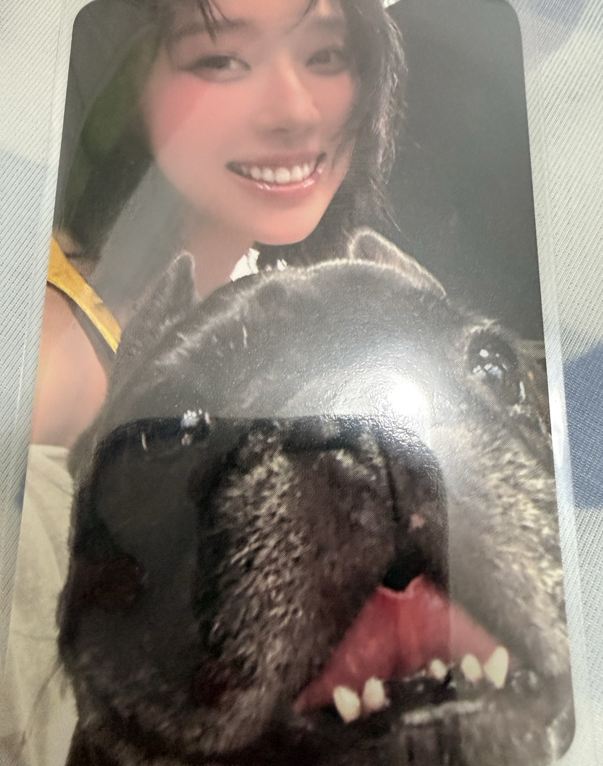 Rich Man k4 預售 特典卡 