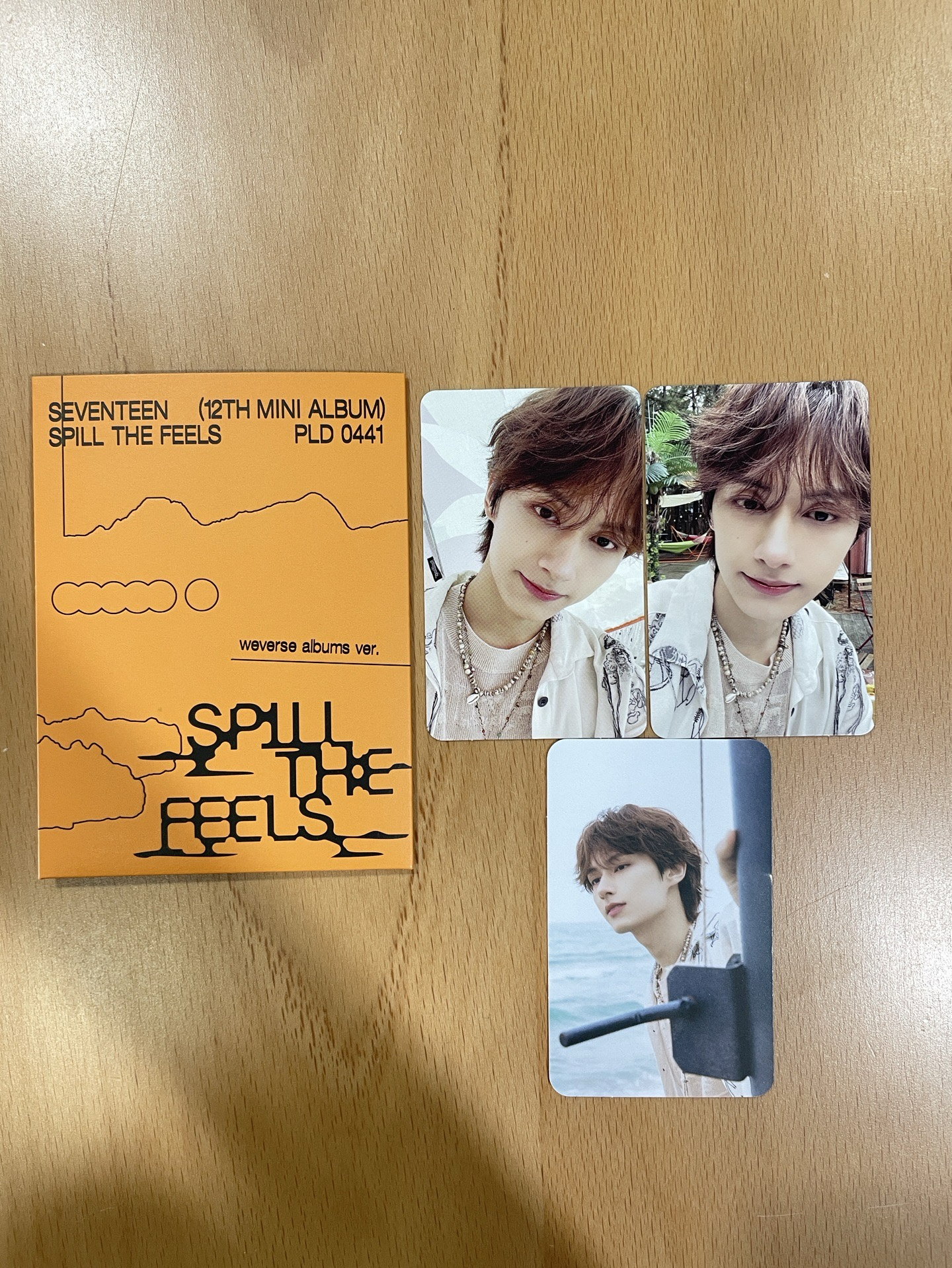 Seventeen mini12 Jun 未掃電子專