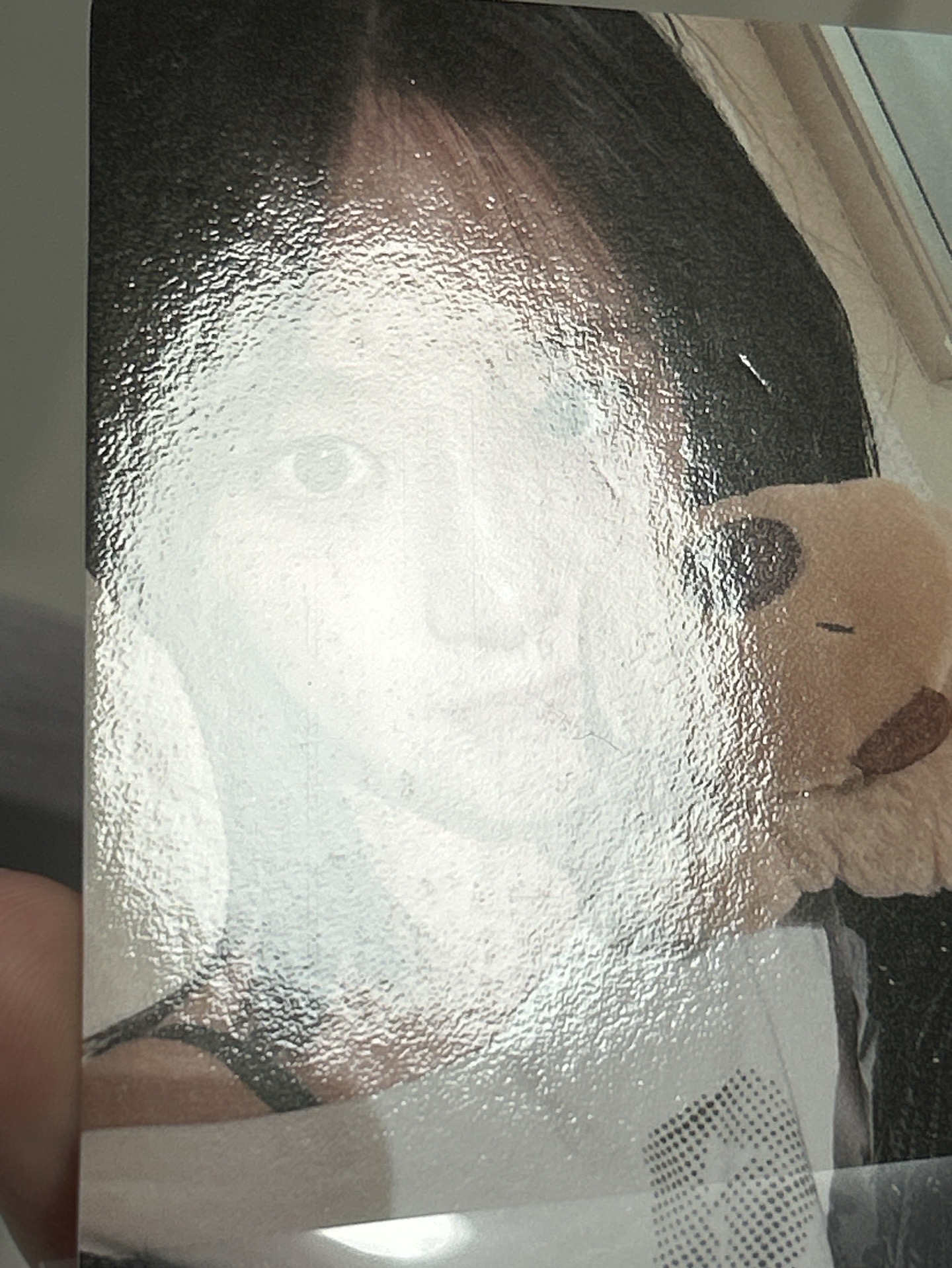 IVE yzy卡皮巴拉安（中文卡背）