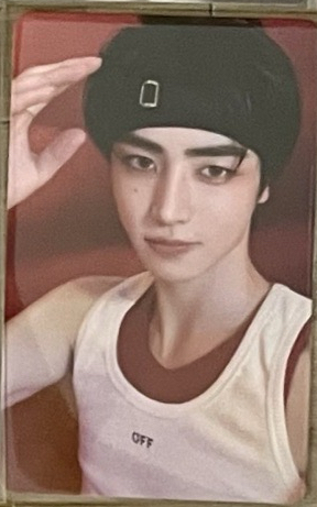 梁禎元朴成訓YT2.0