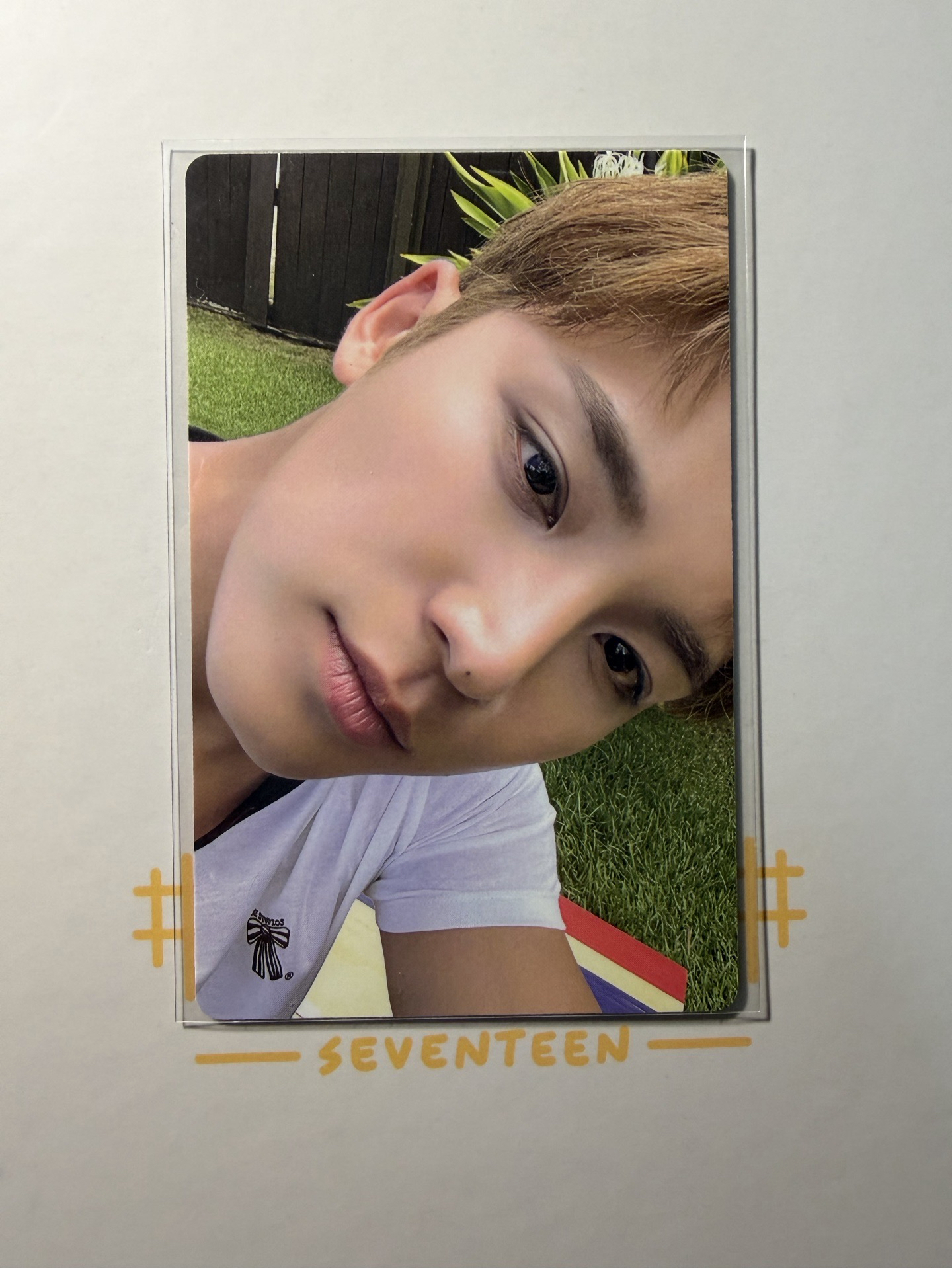 奎 happy vibes wvs 預購特典