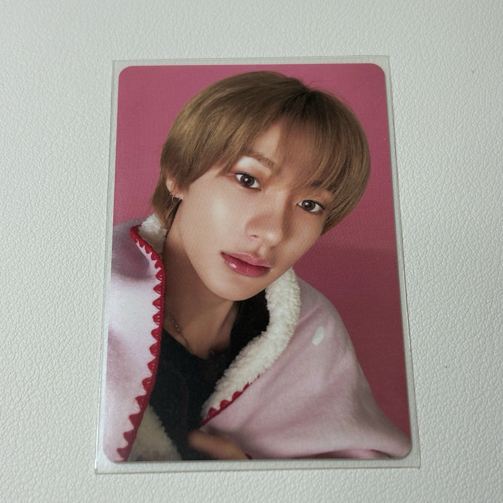 Anton聖誕隨機卡包 