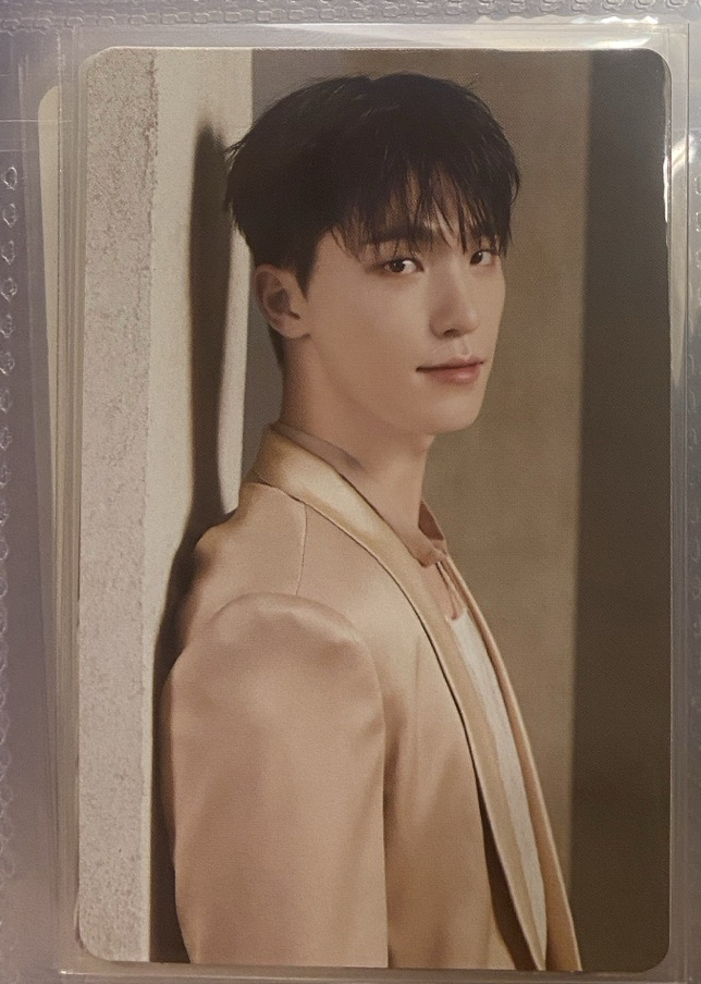 DINO RIGHT HERE 隨機卡 卡包卡