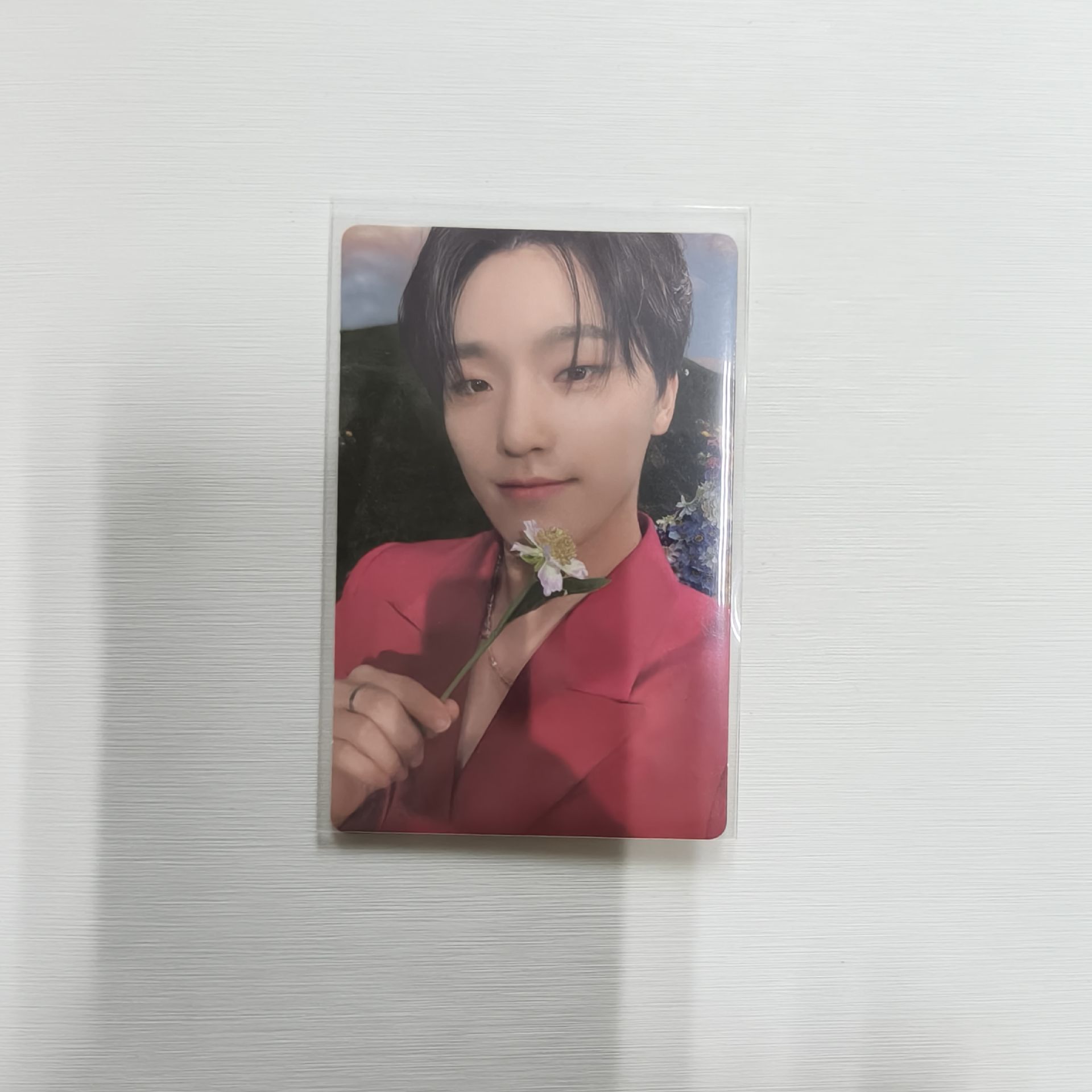 DINO 正四後續 SECTOR17專卡