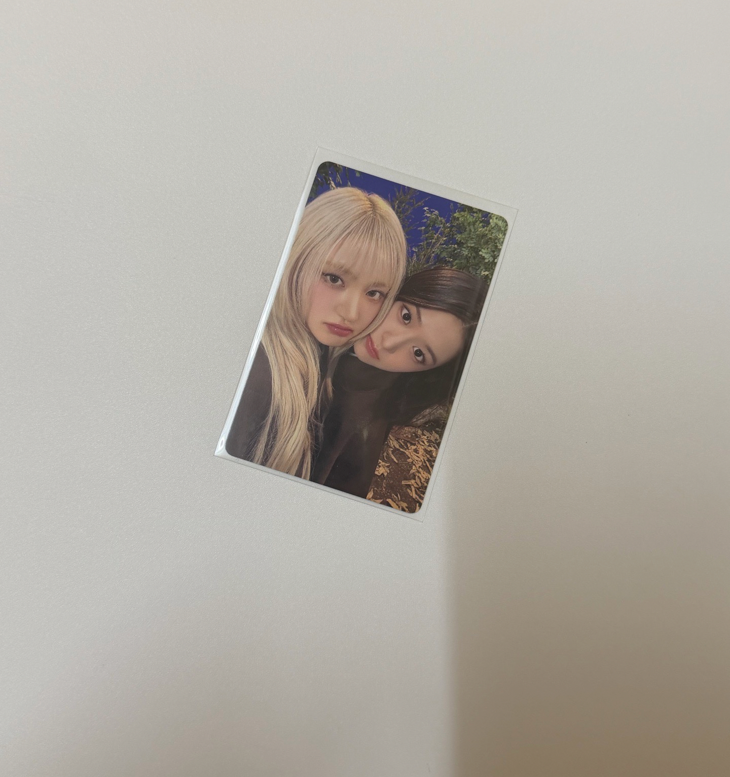 25’ FC IVE SCOUT 隨機卡 安Liz