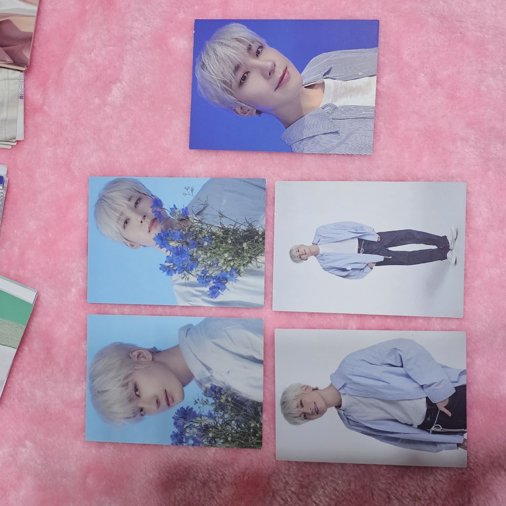 22‘FM｜HANABI 隨機卡 圓佑