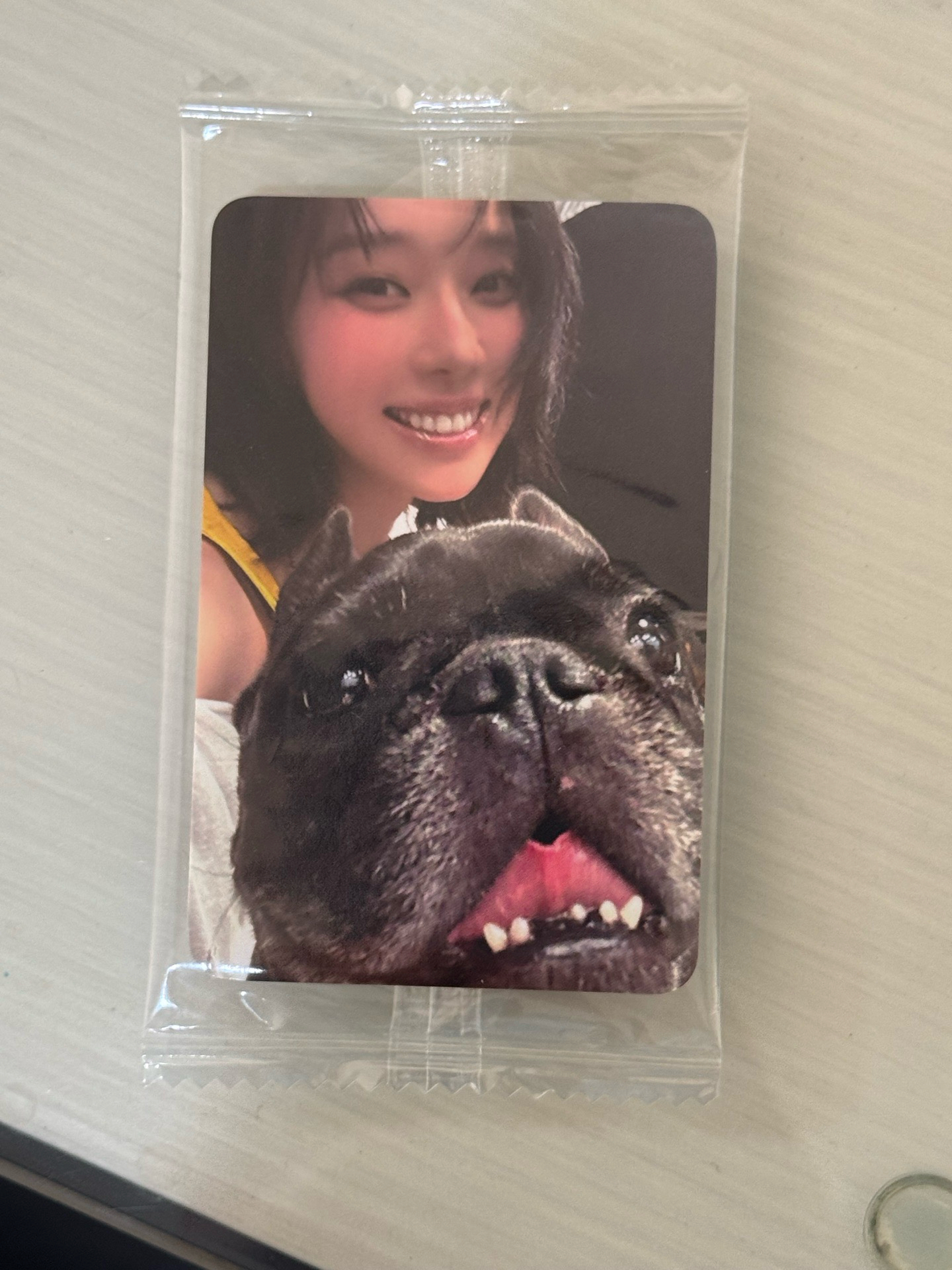 Rich man k4預售冬