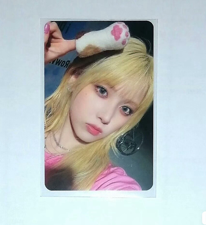 ms 線上 1.0 簽售卡 喵喵拳友