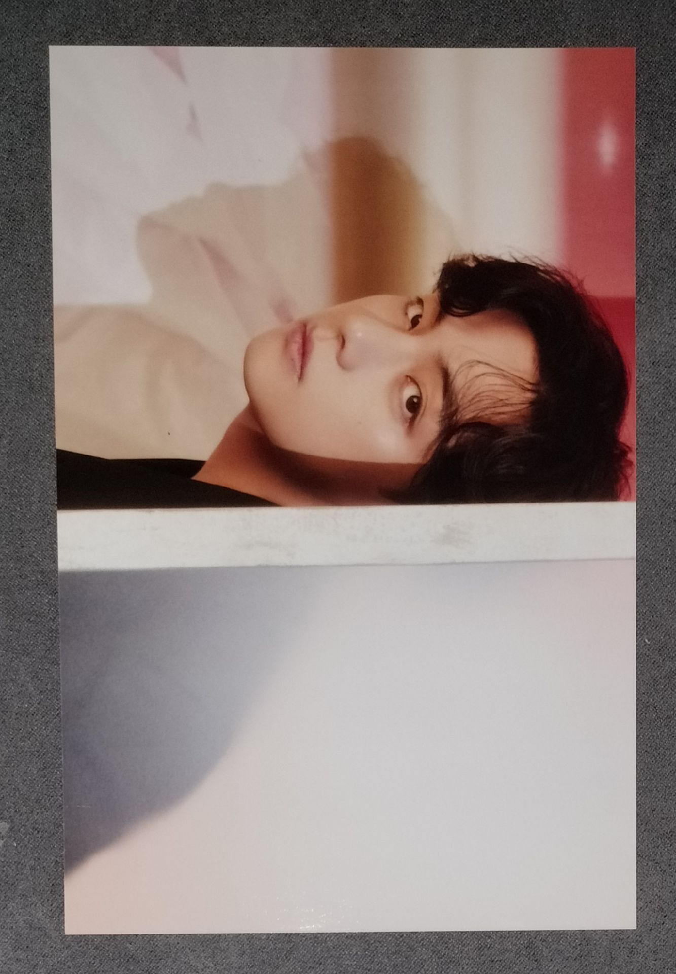 The Daydream Believers 展覽週邊 生寫真組