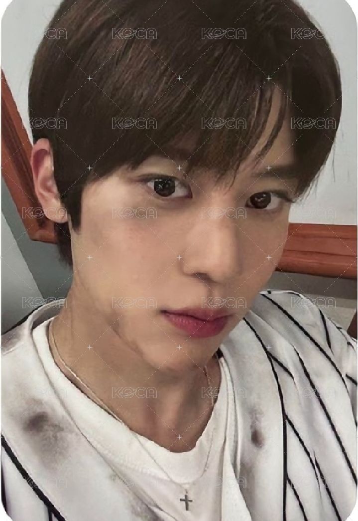 綁一張poppop 樹pb專卡