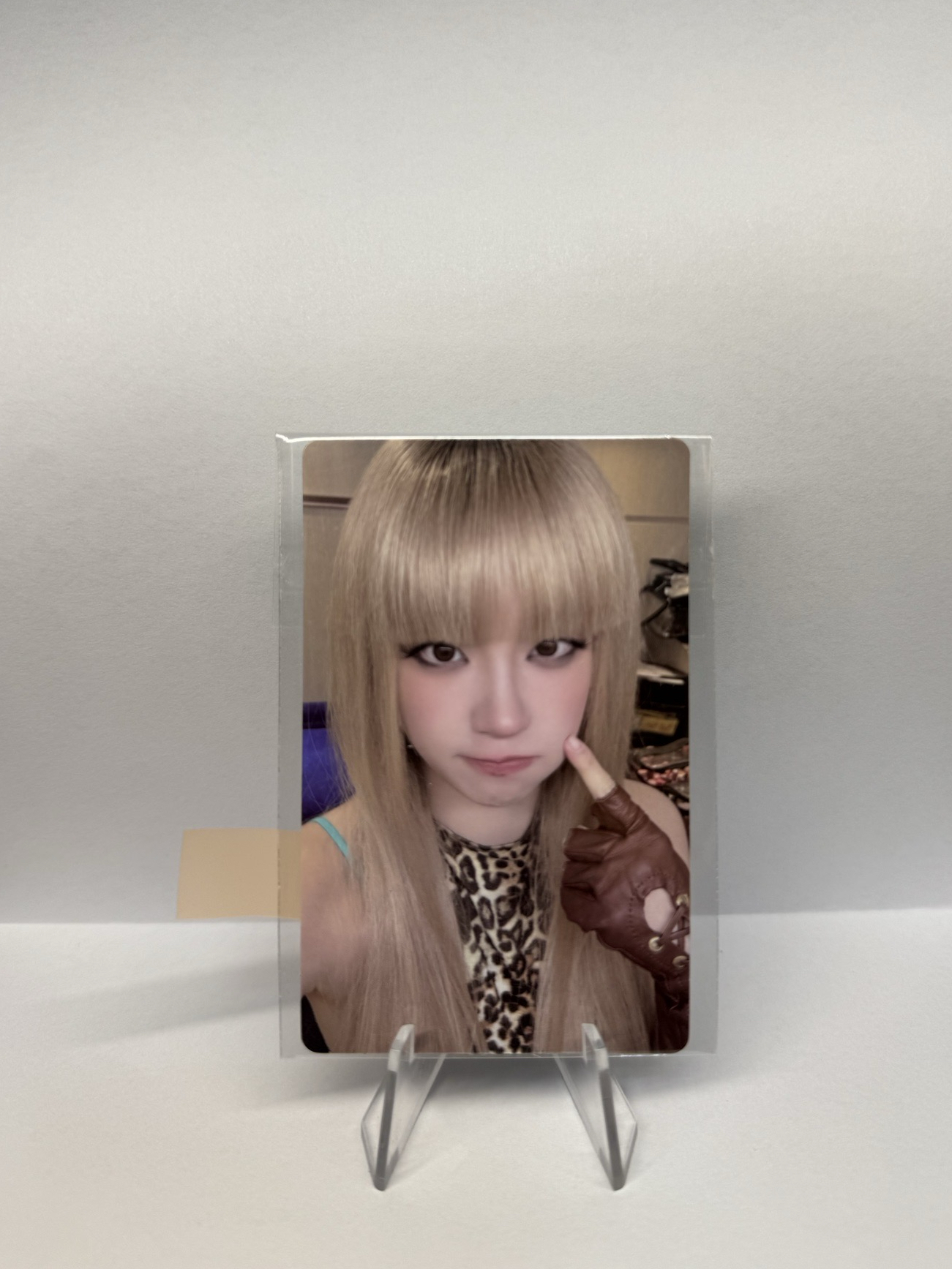 wvs 1.0簽售卡 we are