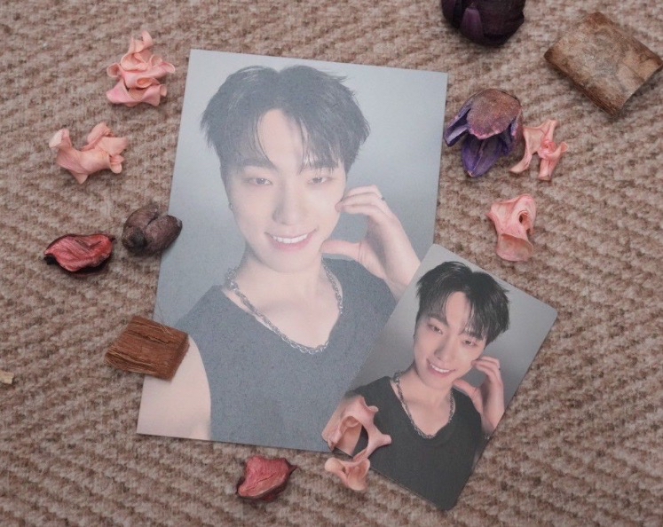 MINI12 wvs 克拉盤特典卡（明信片+小卡）