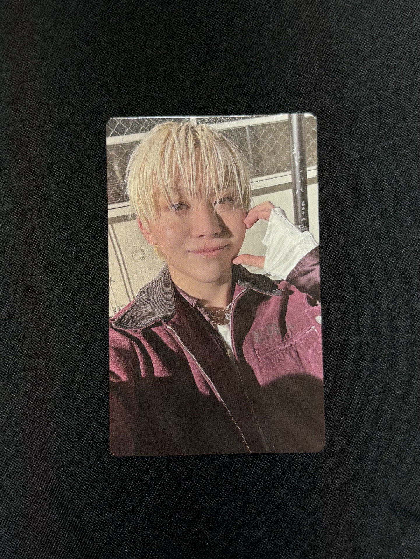 svt 正規五 wvs 特典卡&專卡 橘子/小八