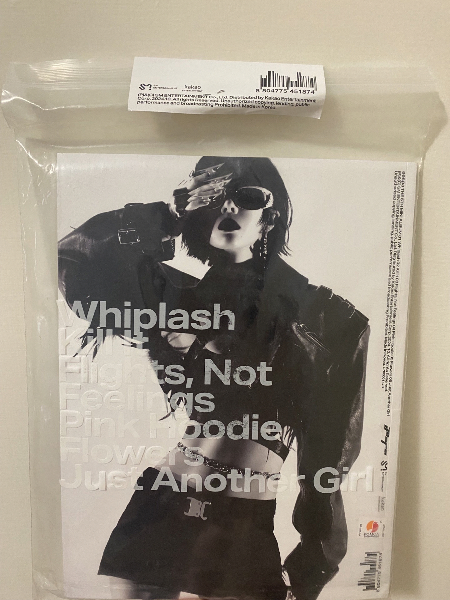 aespa whiplash BEAT版 柚冬團封未拆專