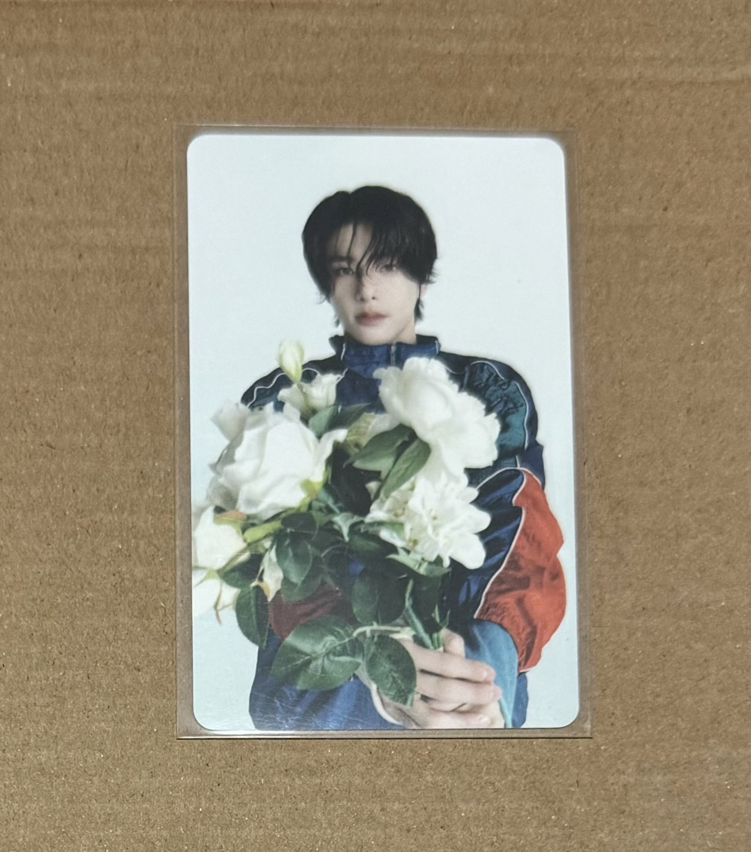 宵Yoi 環球特典倫