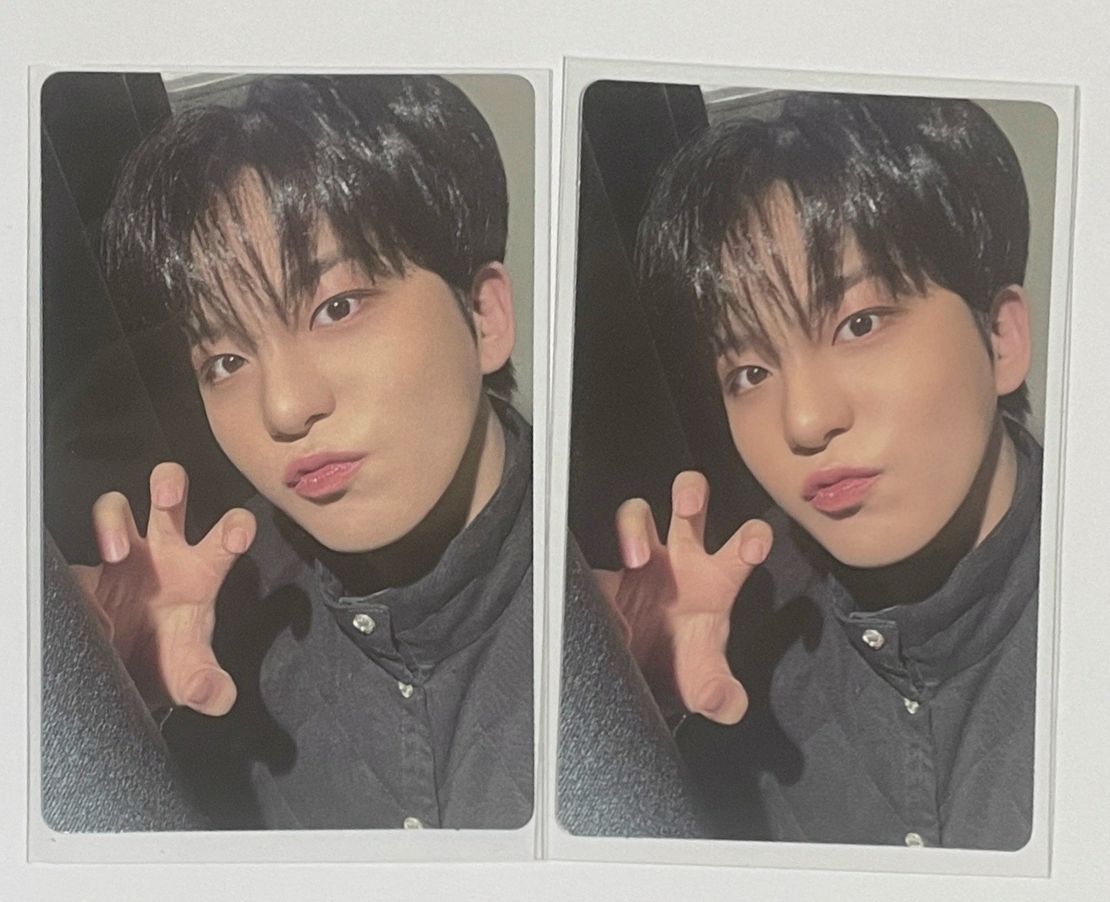 🩵鍾浩檸檬專熊爪