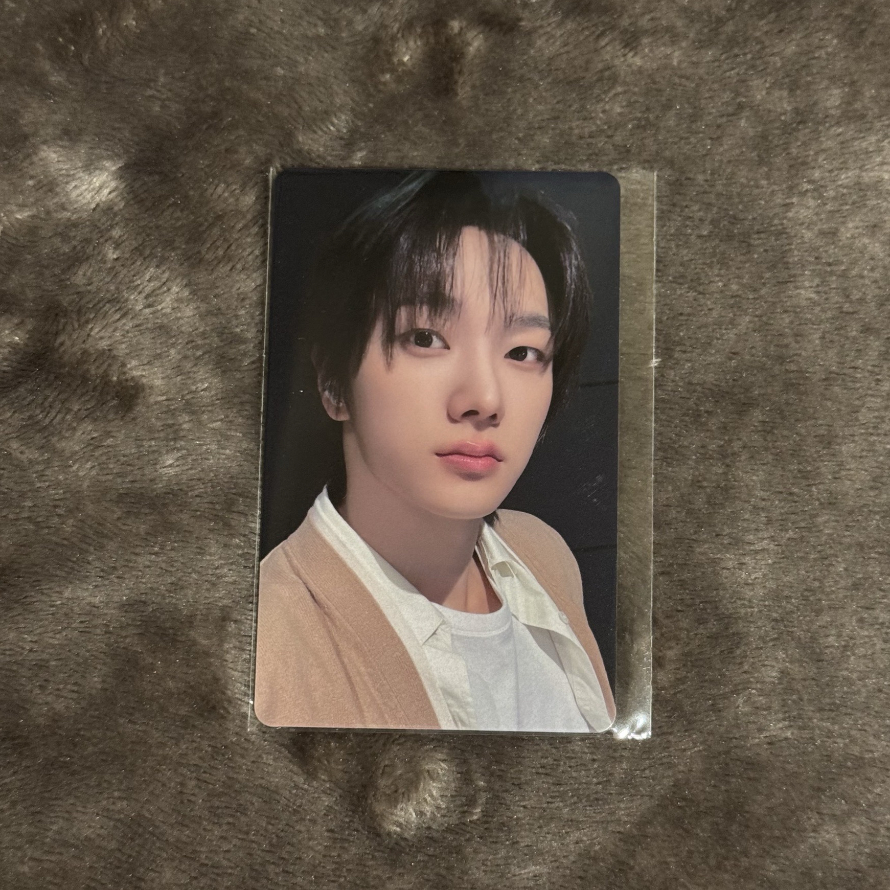 No genre 日安場限 成淏