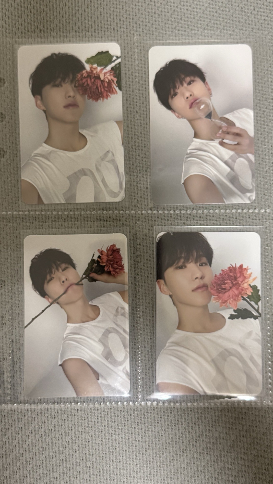 seventeen hoshi 克拉盤小卡