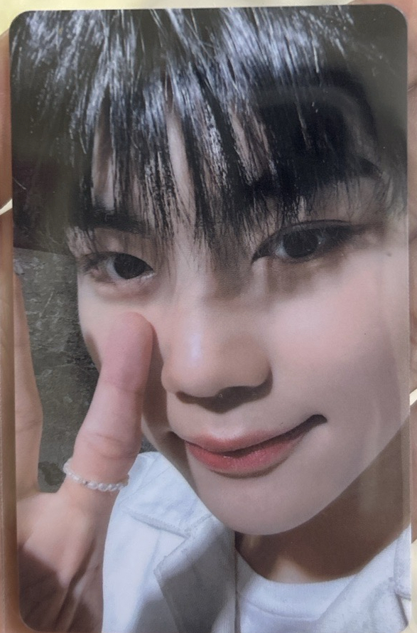 靠近鏡頭把你可愛鼠