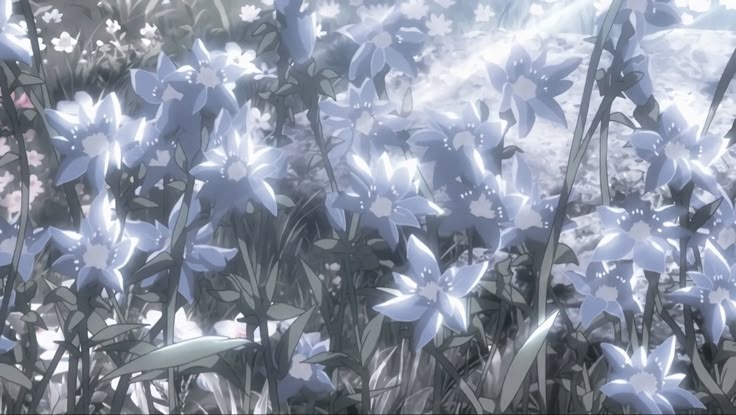 萌哭柒柒貓^🐈‍⬛🫧