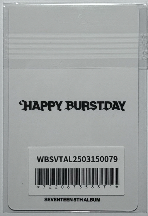 SEVENTEEN Happy Burstday wvsjp克拉盤特典 碩