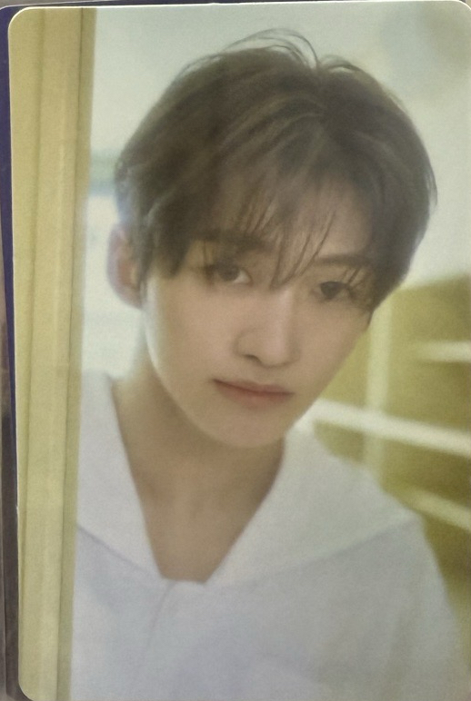 日專tsutaya官拍薫