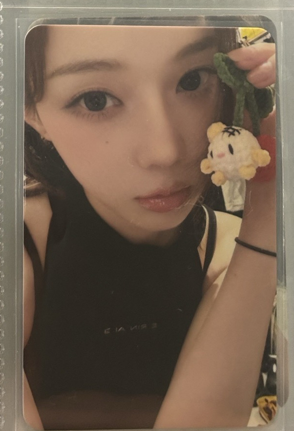 現貨四星冬（中文卡背）