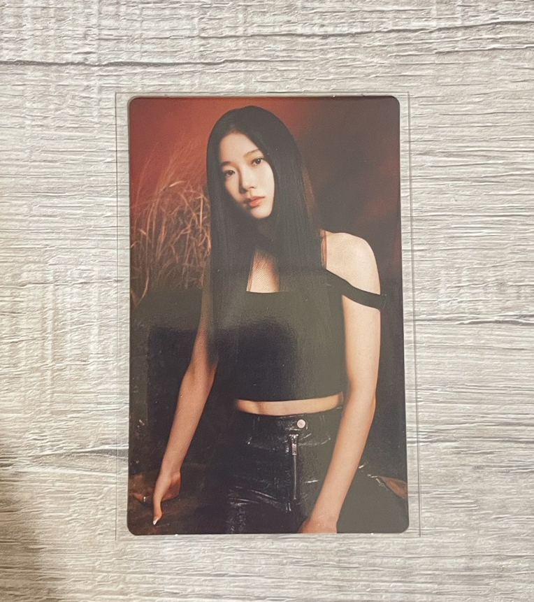 kazuha 23年 巡演 場週 隨機卡