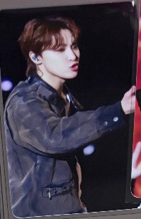 RH演唱會DVD小卡（嘟嘴燦）