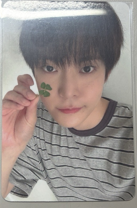 金道英 星河IM 中背