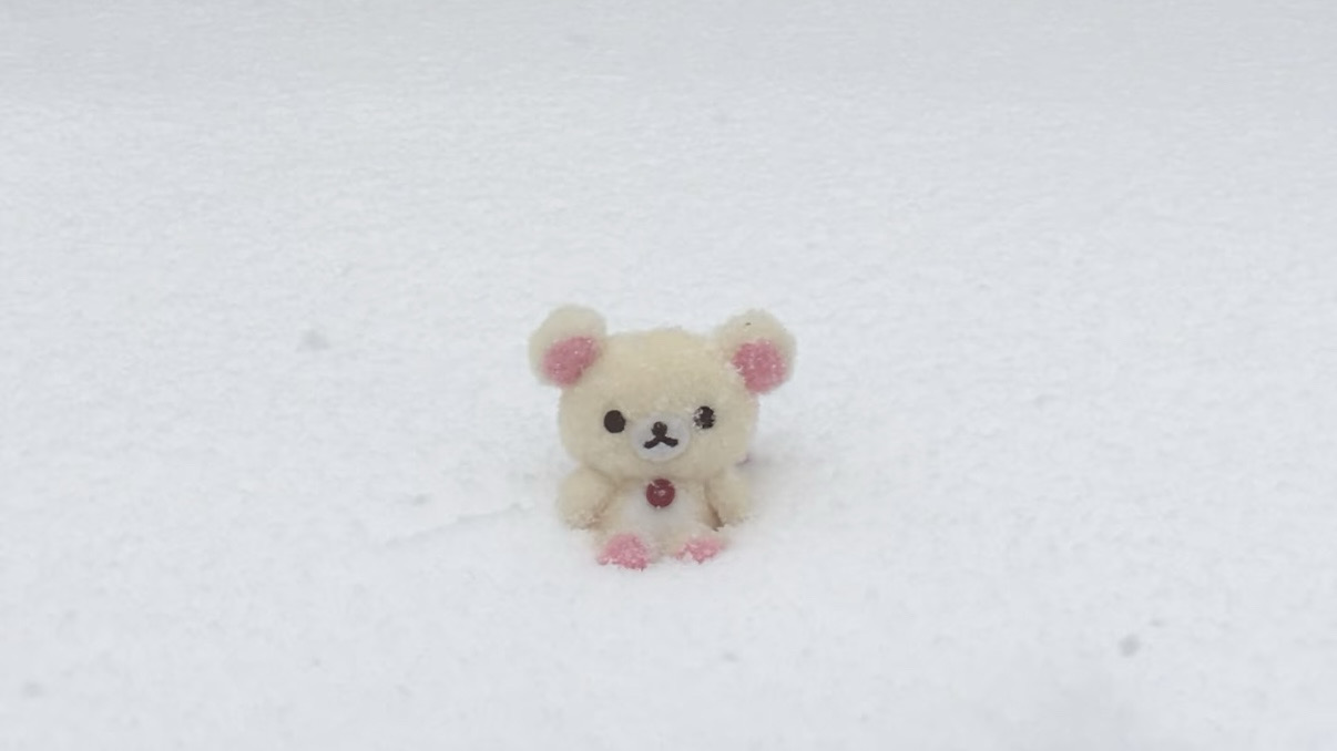 Miku、ﾐ・◦・ﾐ