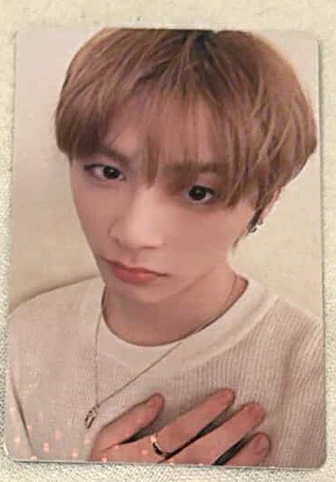 泰山 日咖單封特典