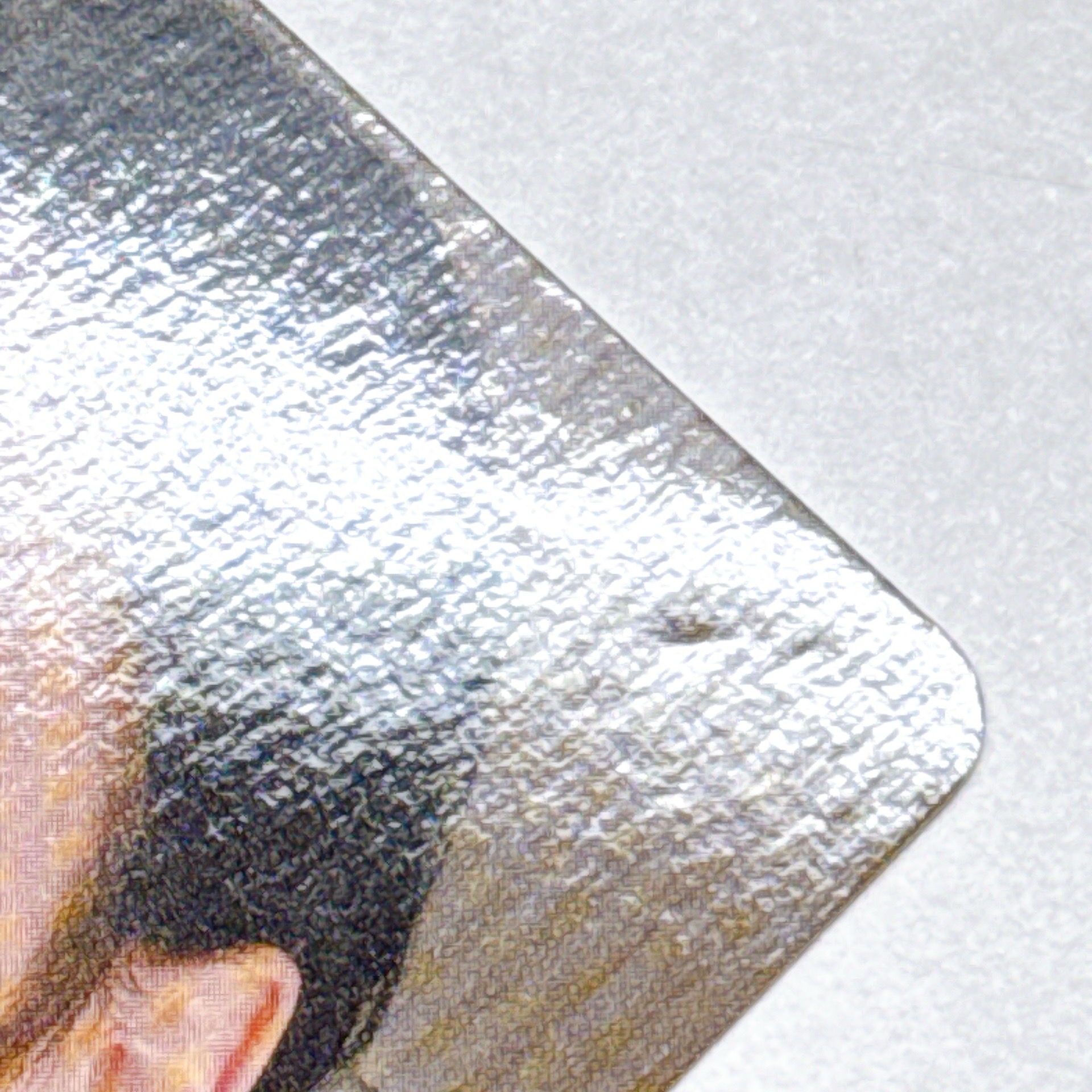 ［對光損］日本場限 菲