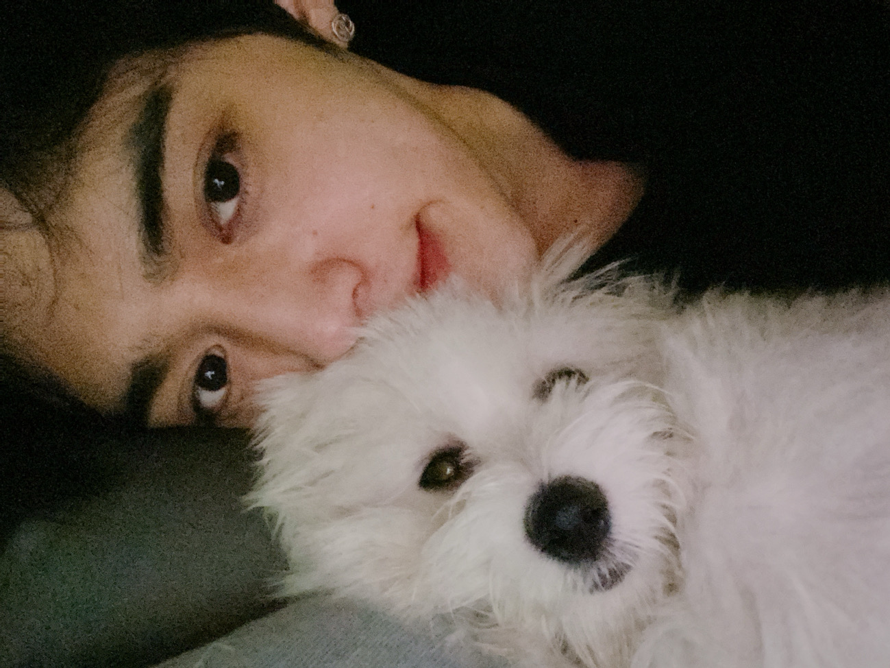 崔不發音૮₍ꐦ -᷅ ⤙ -᷄ ₎ა