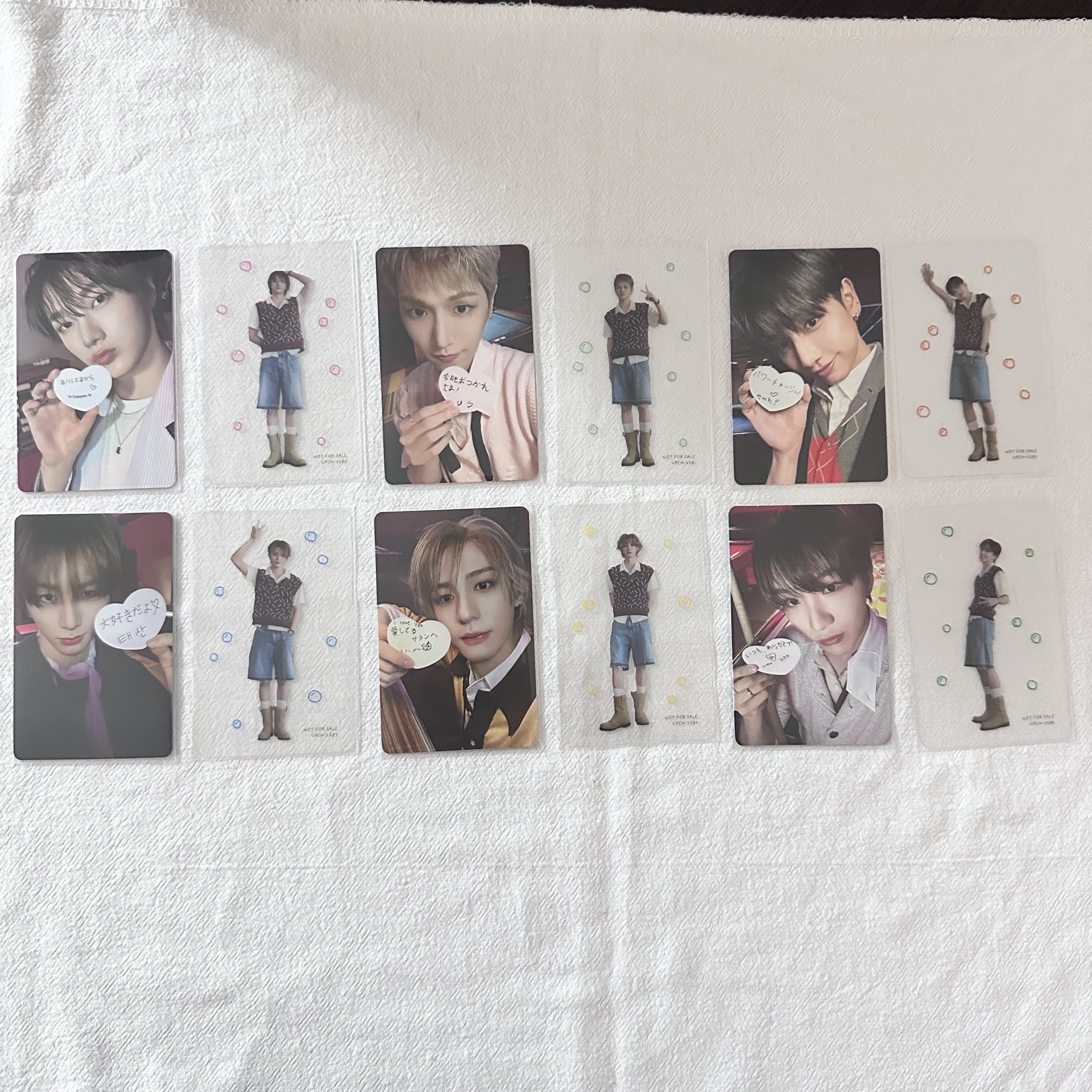 🚪Boylife 單封小卡+透卡一套