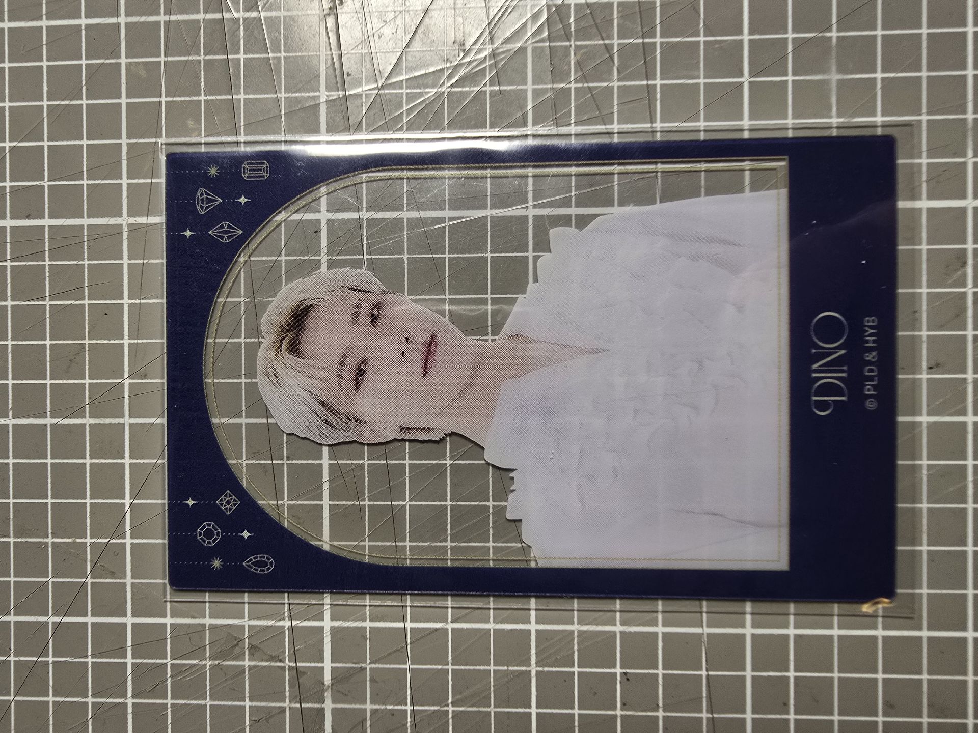 SVT MUSEUM 2024透卡（燦）