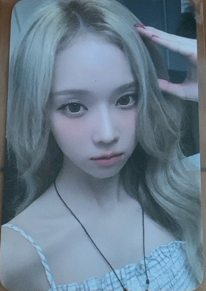 迷五EL幸運冬（狗耳冬）