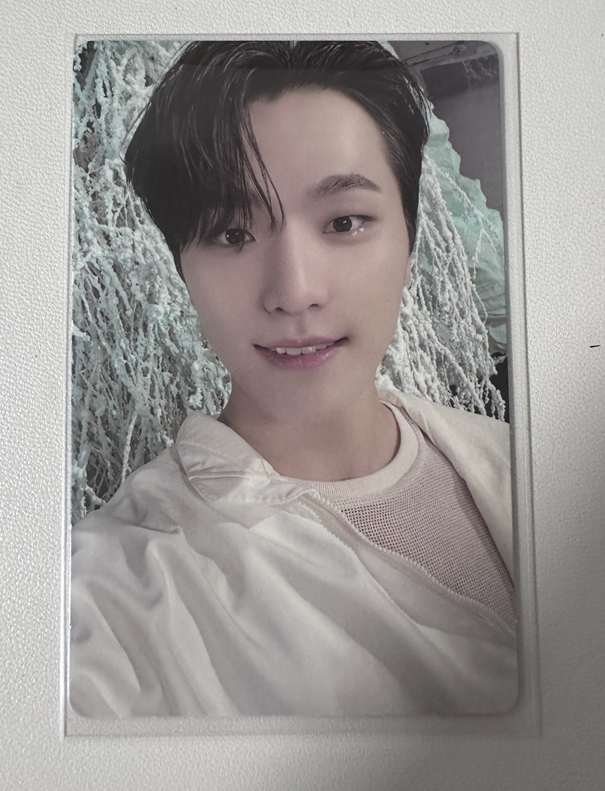 DINO 正四後續 專卡