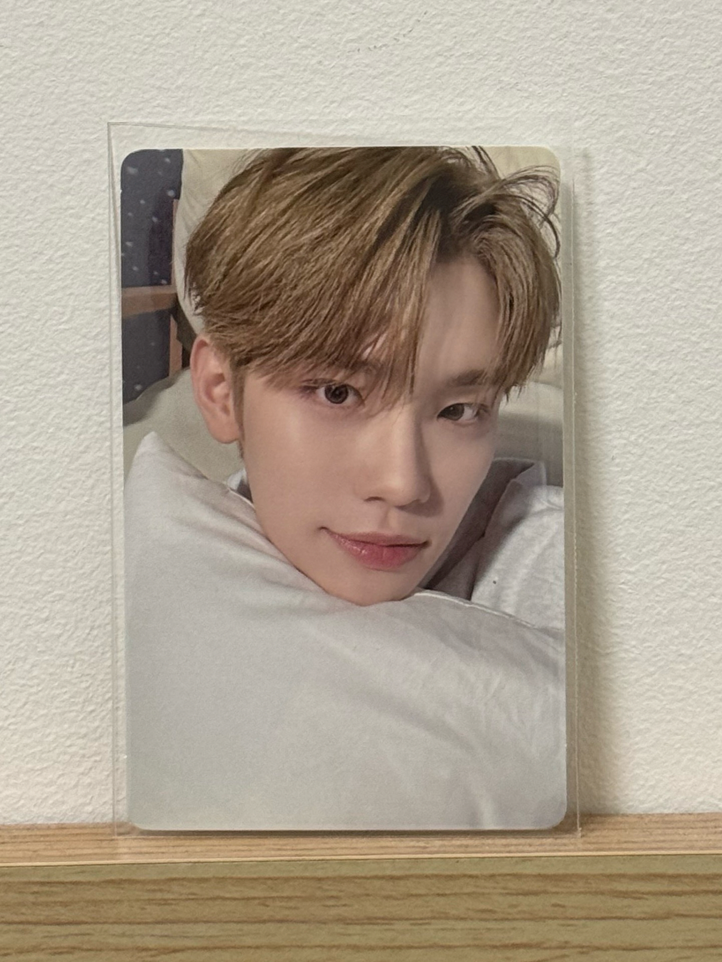 ZB1｜迷二專卡 MYSTERY ver.｜來